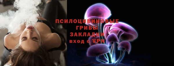гашик Алзамай