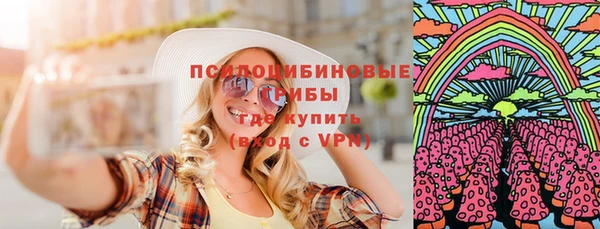 стаф Алексин