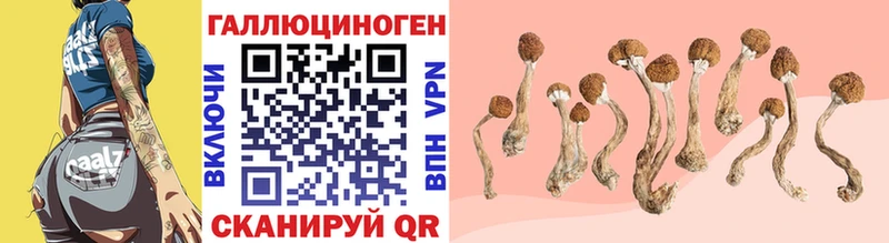 Псилоцибиновые грибы Psilocybe  Инта 